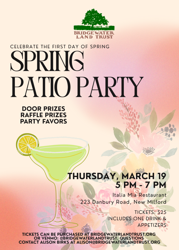 Spring Patio Party (1)