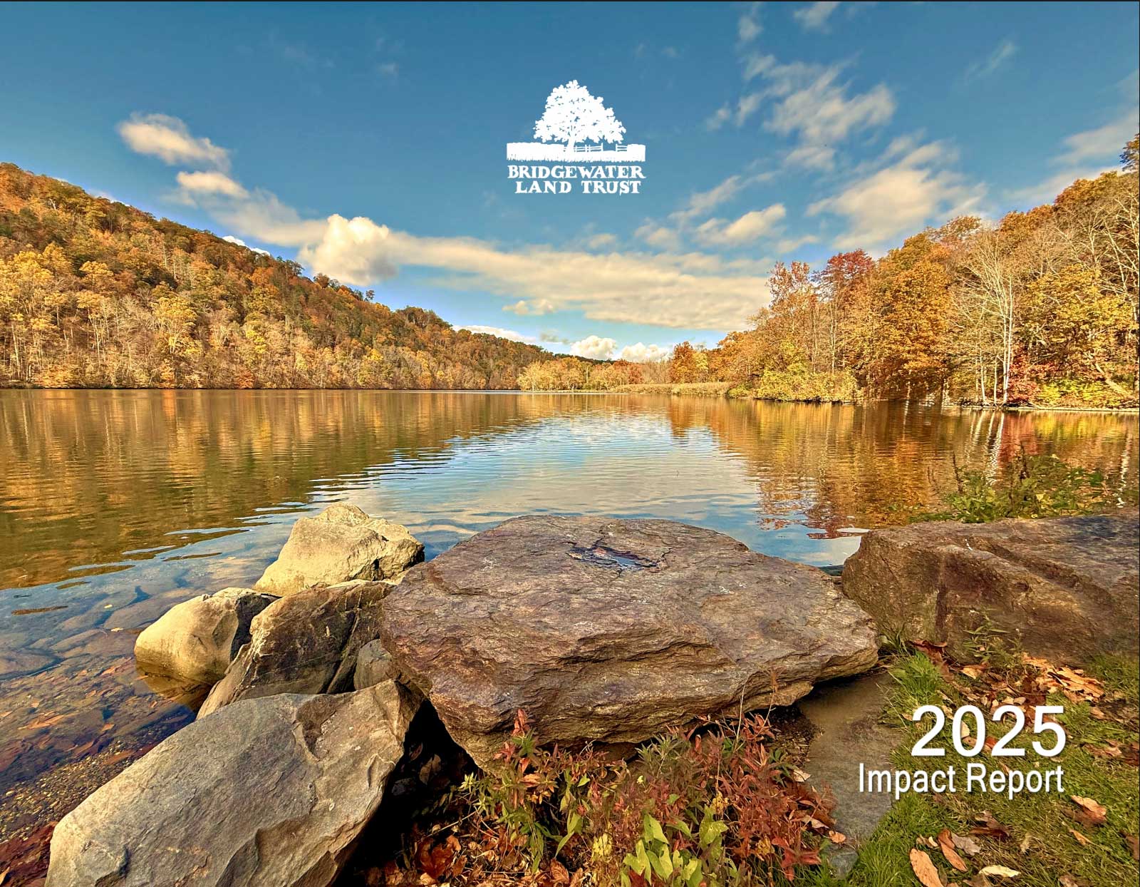 impact_report_2025_thumb